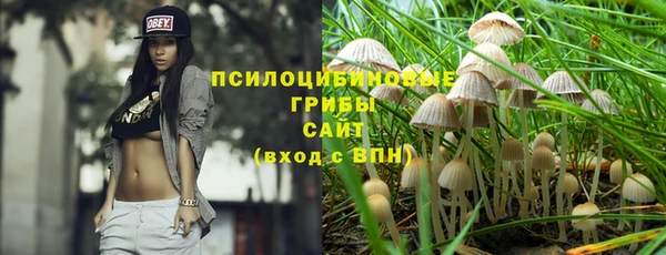 каннабис Алексеевка