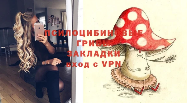 стаф Абдулино