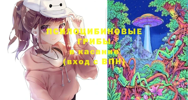 мдпв Алексин